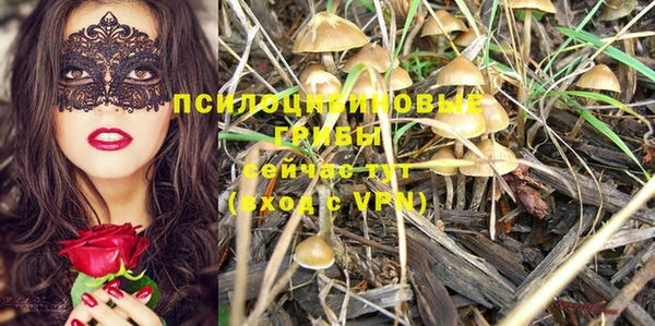 экстази Алексеевка
